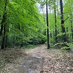 Apartamenty Kielce- Apartament Zacisze Przy Baseny Tropikalne, Kadzielnia, Parking, Faktura,Centrum